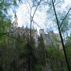 Neuschwanstein  Picture 121.jpg